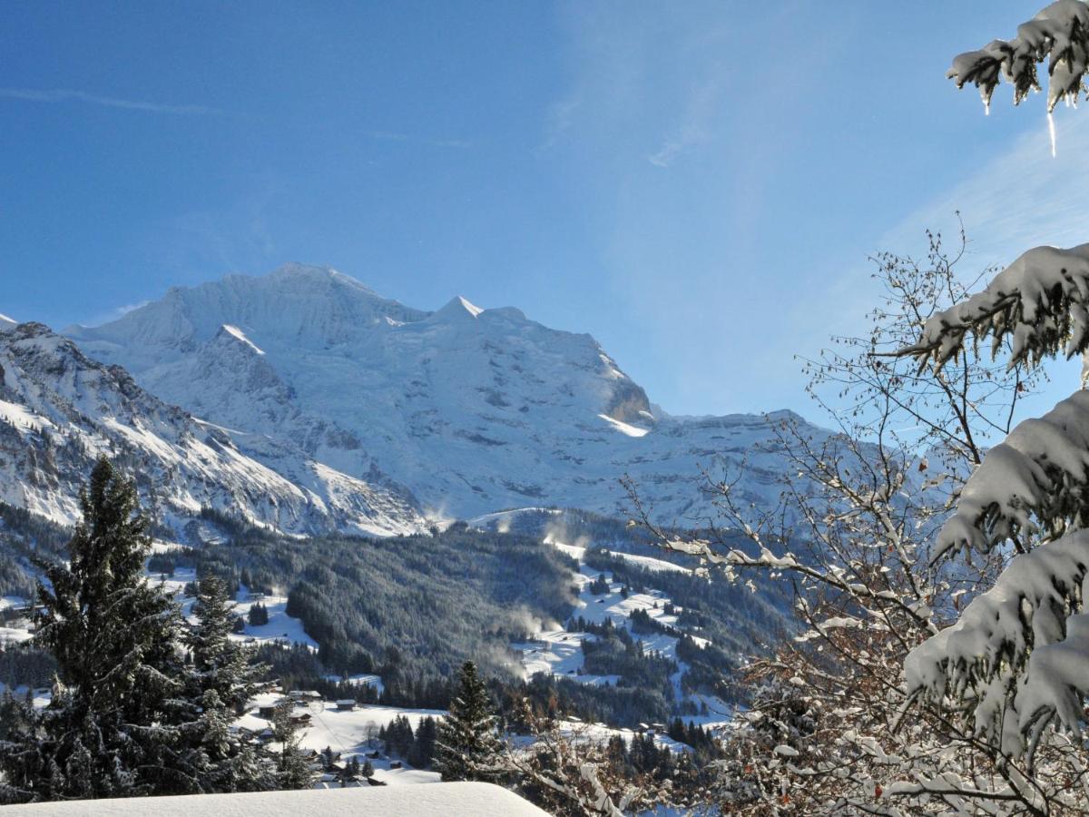 Studio Chalet Silence By Interhome Wengen Exterior foto