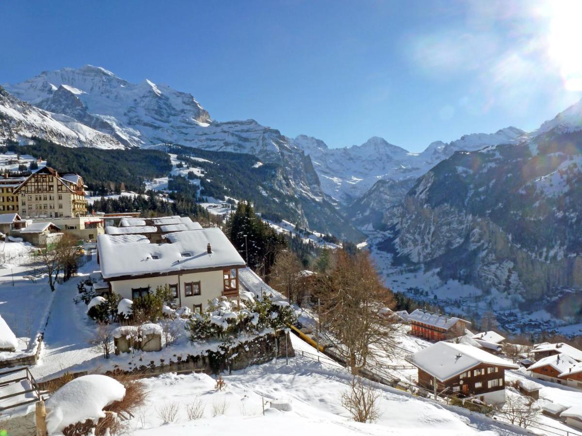 Studio Chalet Silence By Interhome Wengen Exterior foto